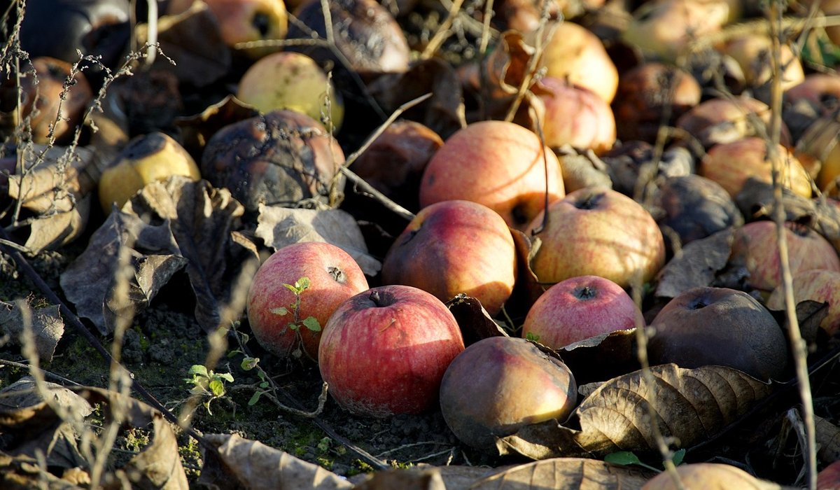 Russet Vale